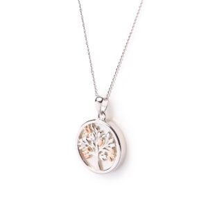 9746186f 0296 4b86 9b7a 957b0a0a6e47