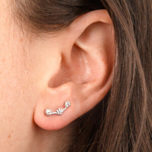 A1 SF 2488 SS 000 0 2