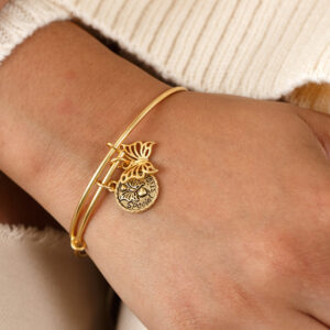 AA Bangle 02