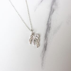 C1 PD 7049 SS CZW 0 PRODUCT1