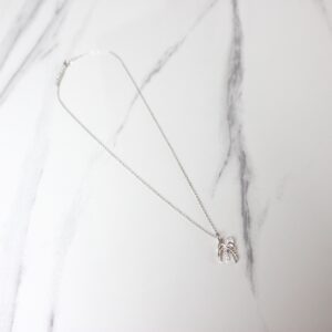 C1 PD 7049 SS CZW 0 PRODUCT2