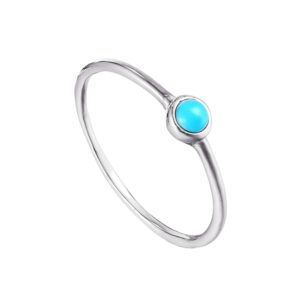 C1 R0 8038 SS TUR 0 MAIN