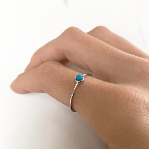 C1 R0 8038 SS TUR 0 MODEL1