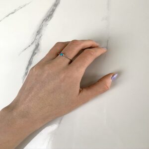 C1 R0 8038 SS TUR 0 MODEL2