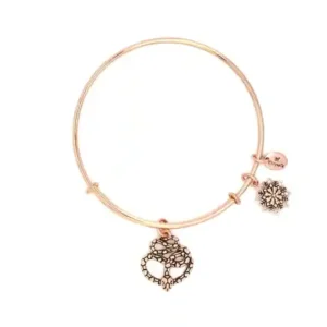 CRBT2214RG CTW MAIN.jpg 1