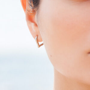 D2 HU 3222 Heart S 0 Model 1