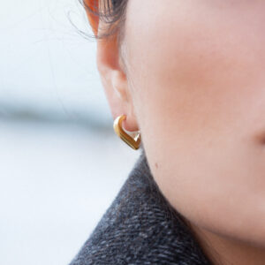 D2 HU 3222 Heart Y 0 Model 1