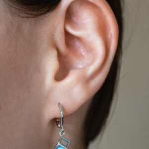 DSS2201062010SILVER Model 1