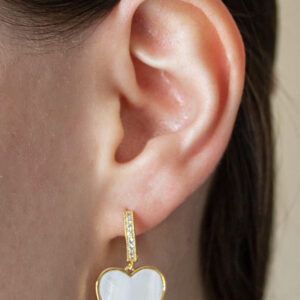 DSS220106202 Model 1