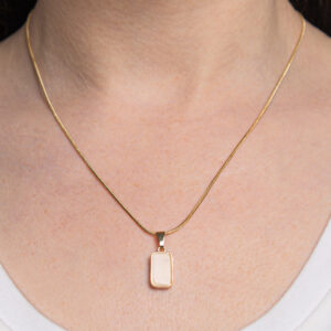 DSS220106203 Model 1