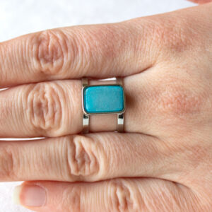 DSS22010625 AQUA Model 1