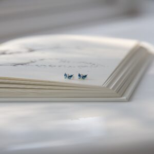 E2 SF 1308 SS 000 0 ET 2