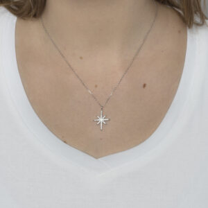 J1 PD 1411 SS CZW 0 MODEL 2