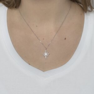 J1 PD 1411 SS CZW 0 MODEL