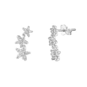 M1 SF 5554 SS CZW 0 1