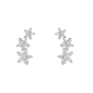 M1 SF 5554 SS CZW 0 3