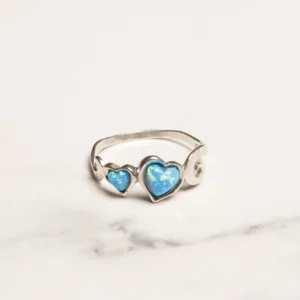 R4121 10 Model 1.jpg 1