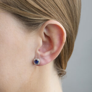 S2 SF 0036 SS C2A 0 2