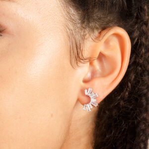 S2 SF 2495 SS CZW 0 2