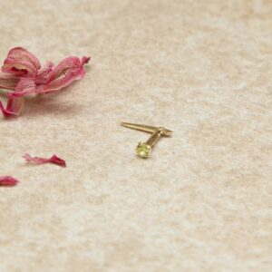 Studio Session 487 Edit