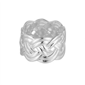 V1 R0 2013 SS 000 0 1