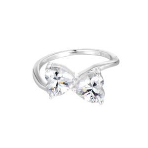 V1 R0 4040 SS CZW 0 2