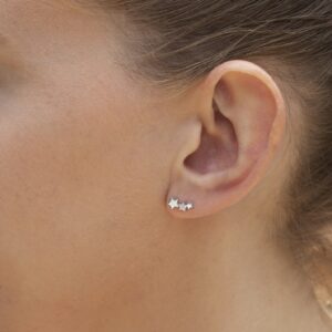 V1 SF 0039 SS CZW 0 MODEL