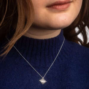 E2 PD 4123 SS CZW W 2