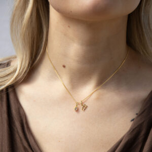 Zodiac Charm Pendant Necklace 2